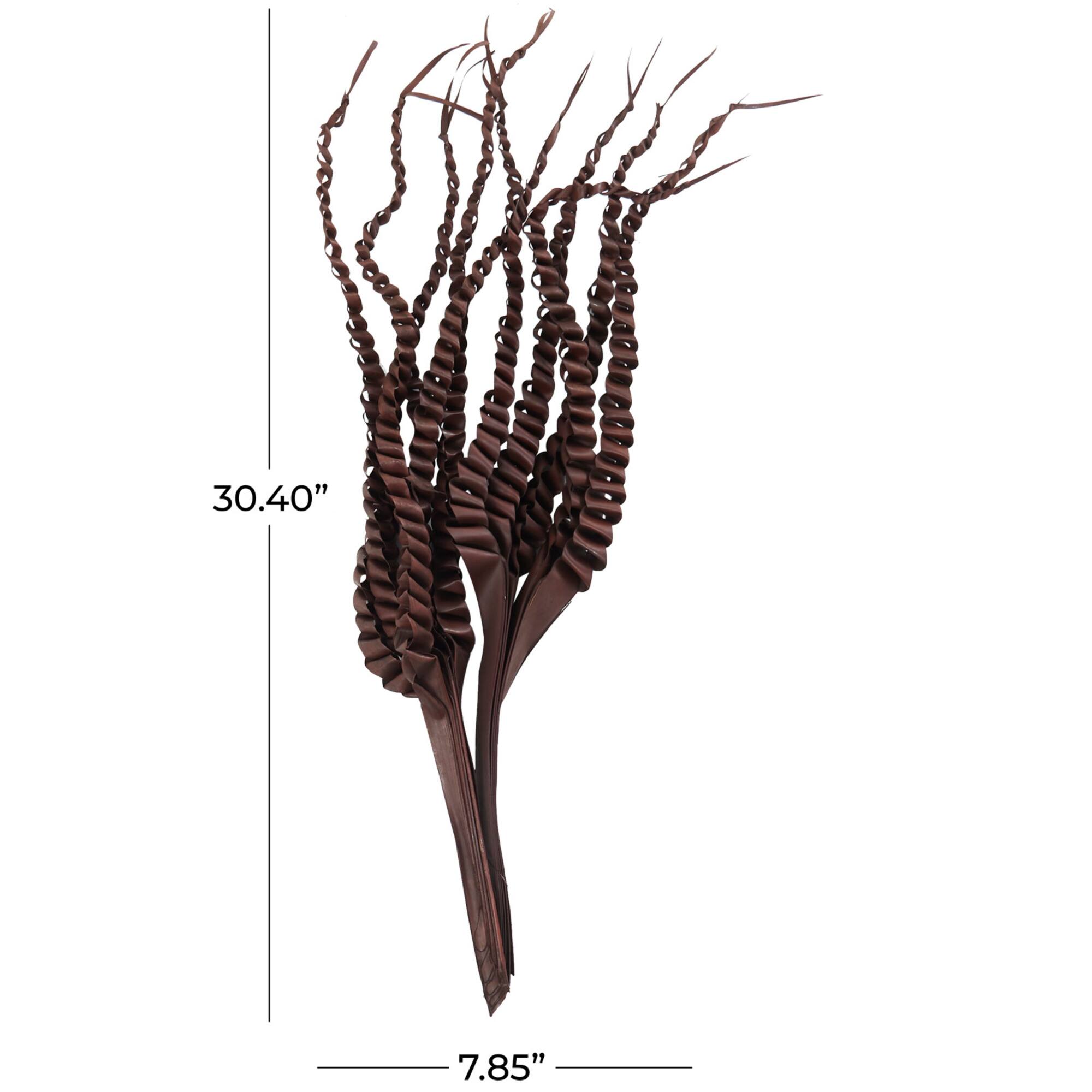30" Dark Brown Dried Plant Palm Leaf Natural Foliage